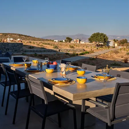 Villa Olea Paros
