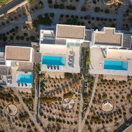 Olea Paros * Isterni (Paros)