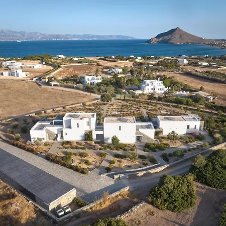 Olea Paros