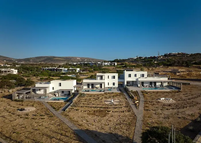 Olea Paros * Isterni (Paros)
