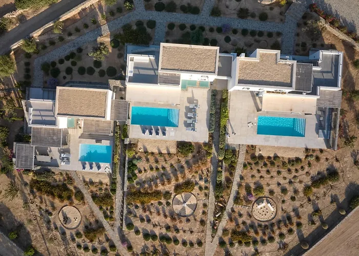 Olea Paros * Isterni (Paros)